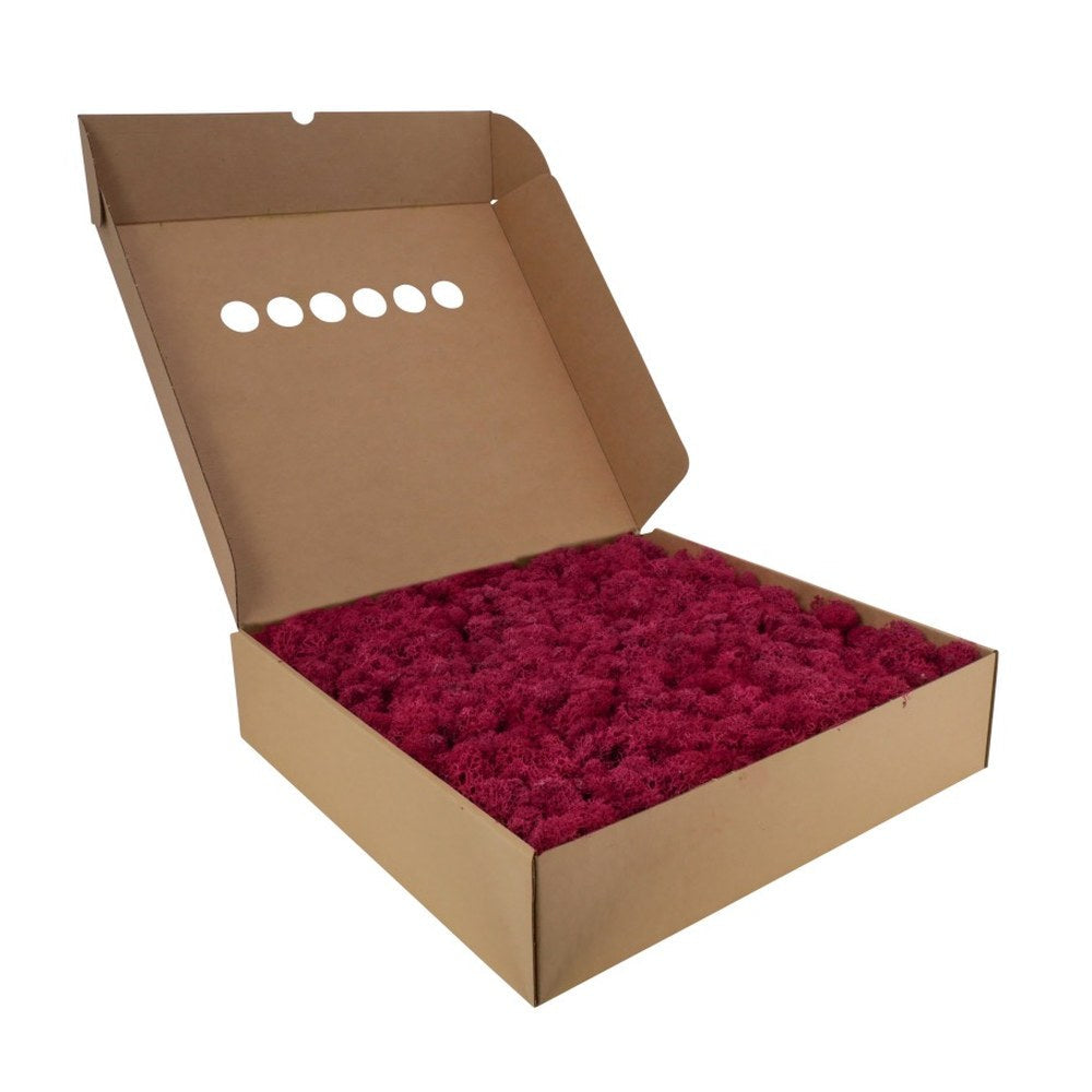 Islandmoos Bordeaux im 5-kg-Karton