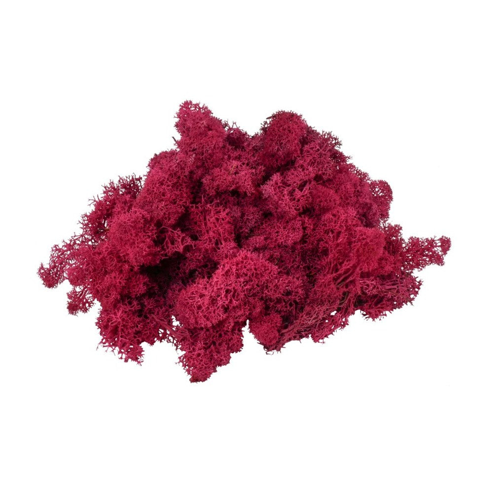 Islandmoos Bordeaux