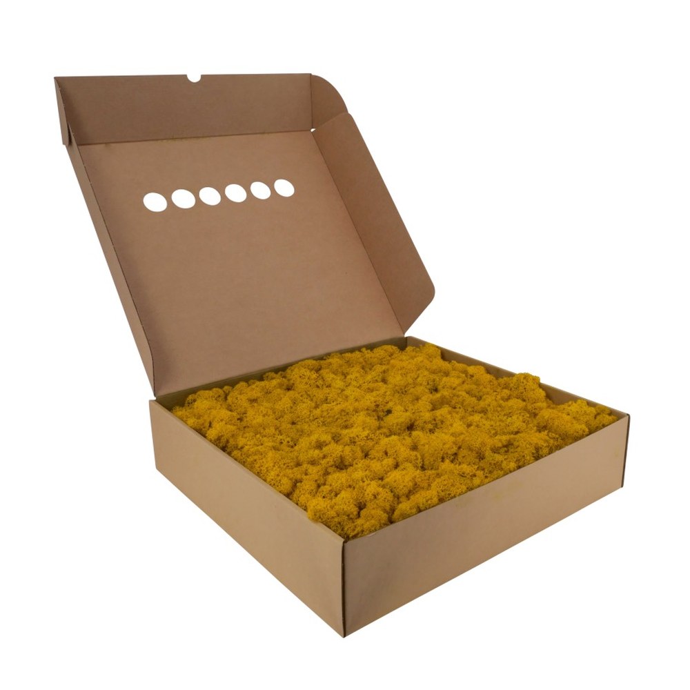 Islandmoos Gelb im 5-kg-Karton