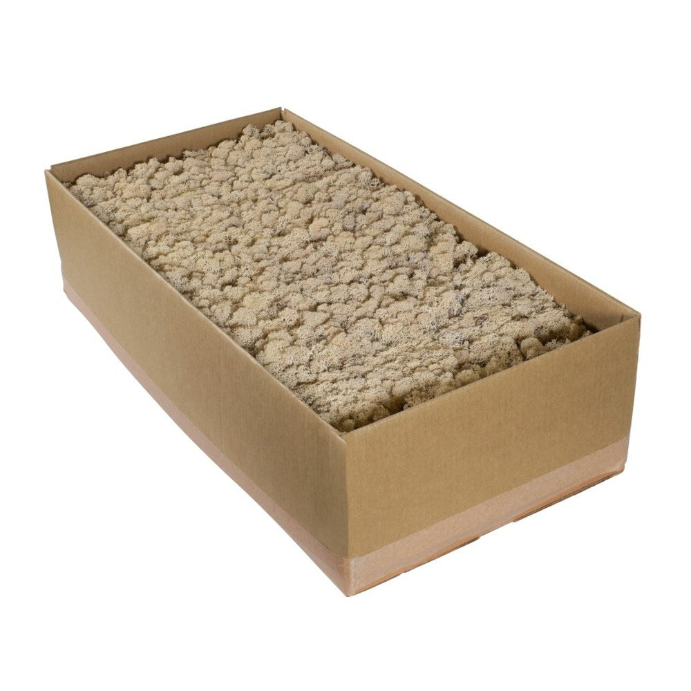 Islandmoos Natur im 5-kg-Karton