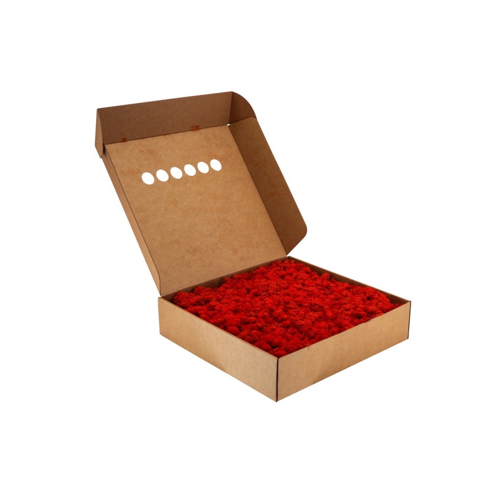 Islandmoos Rot im 5-kg-Karton