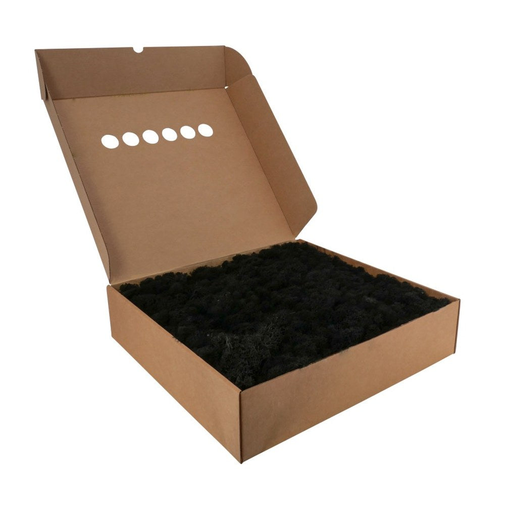 Islandmoos Schwarz im 5-kg-Karton