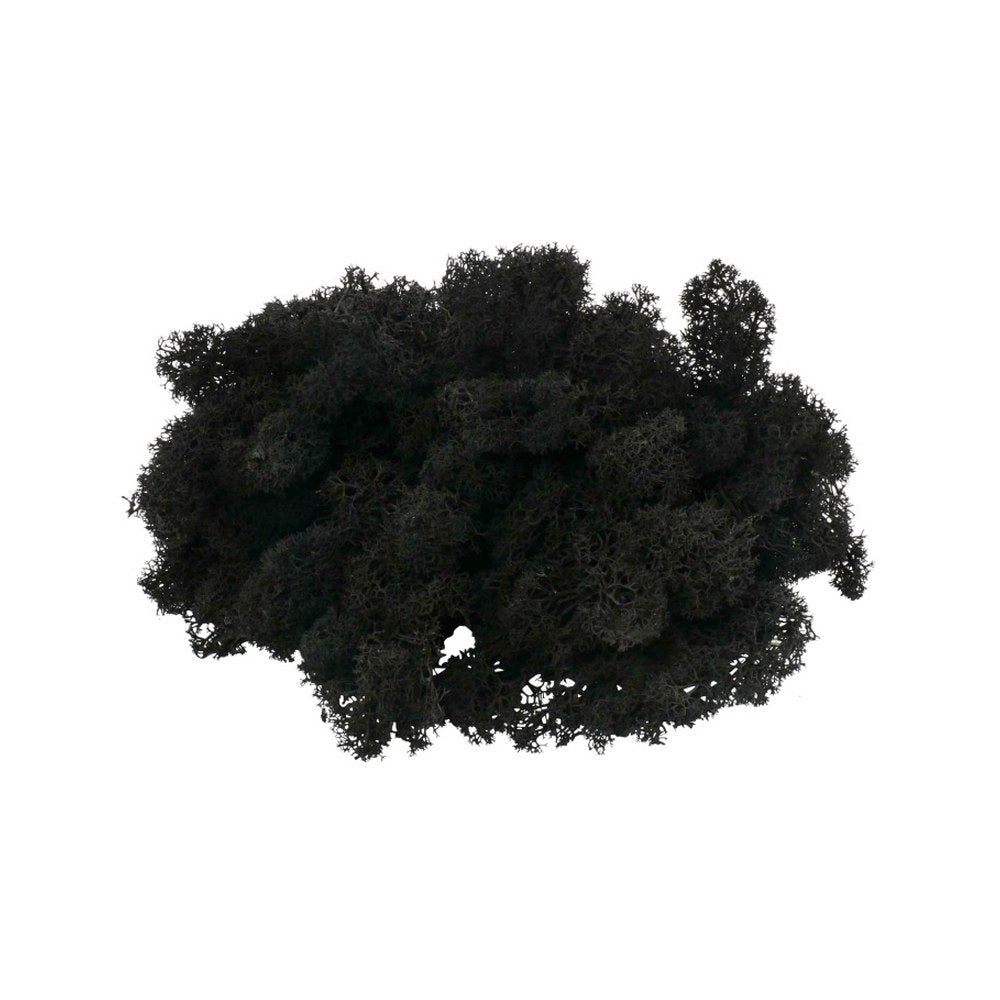 Islandmoos Schwarz